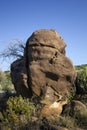 Fossils Park Kutch, Gujarat Royalty Free Stock Photo